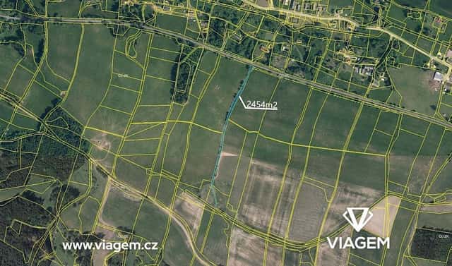 Prodej pole 2 939 m², Borovnice, okres Trutnov