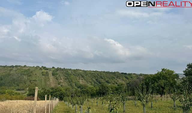 Prodej zahrady 358 m², Bořetice, okres Břeclav