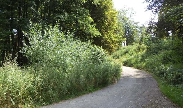Prodej pozemku 1 046 m², Chodský Újezd – Nahý Újezdec, okres Tachov