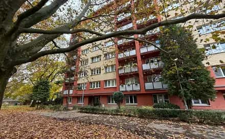 Pronájem bytu 3+1 60 m², Krakovská, Ostrava – Hrabůvka, okres Ostrava-město
