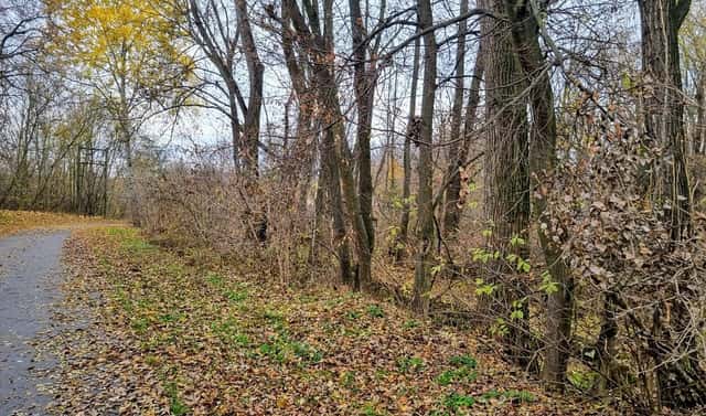 Prodej stavebního pozemku 3 392 m², Rousínov – Čechyně, okres Vyškov