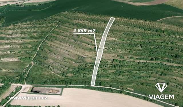Prodej pole 2 859 m², Morkůvky, okres Břeclav