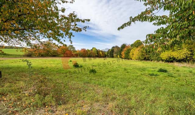 Prodej stavebního pozemku 7 821 m², Náměšť na Hané, okres Olomouc