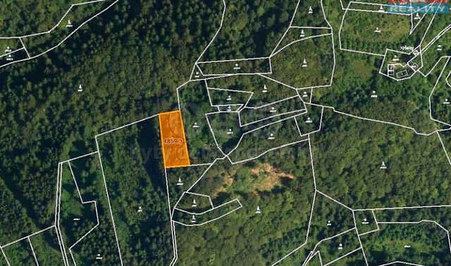 Prodej lesa 5 001 m², Halenkov, okres Vsetín