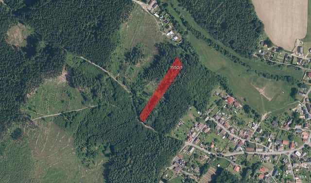 Prodej lesa 5 118 m², Pec, okres Domažlice