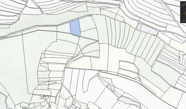Prodej lesa 4 064 m², Tehov, okres Benešov