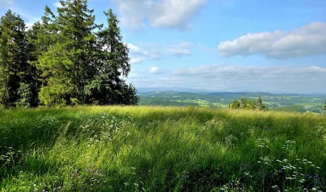 Prodej louky 10 451 m², Vlastiboř, okres Jablonec nad Nisou