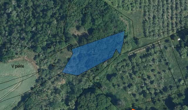 Prodej lesa 294 m², Libočany, okres Louny