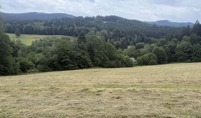 Prodej louky 84 928 m², Hamry, okres Klatovy