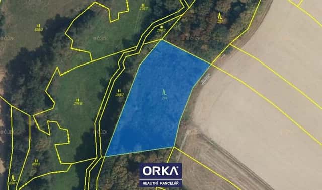 Prodej lesa 8 854 m², Otinoves, okres Prostějov