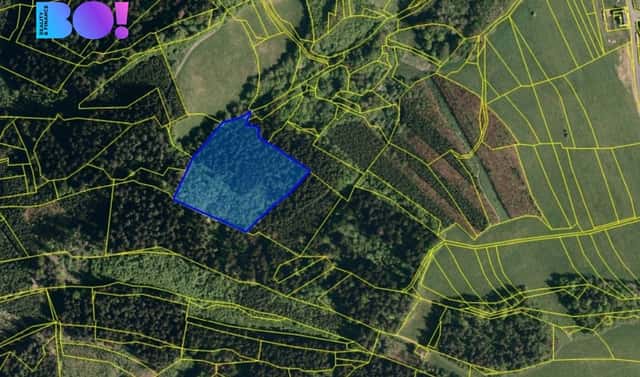 Prodej lesa 14 596 m², Valašská Polanka, okres Vsetín