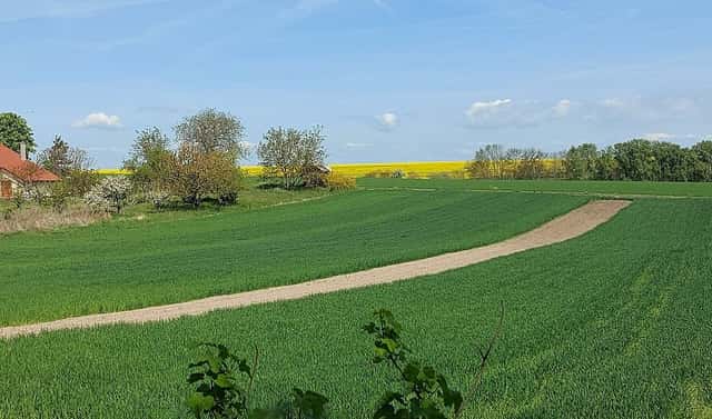 Prodej stavebního pozemku 1 532 m², Panenský Týnec, okres Louny