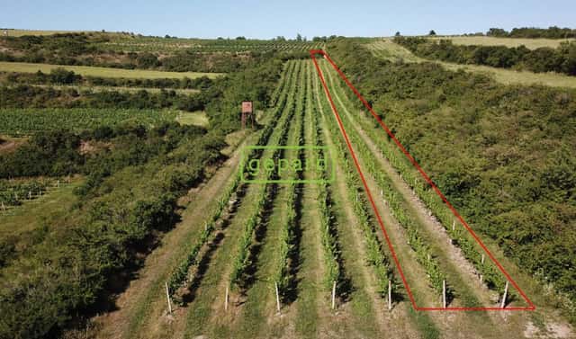Prodej pozemku 2 166 m², Starovice, okres Břeclav
