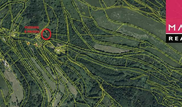Prodej louky 19 580 m², Stráž nad Ohří – Srní, okres Karlovy Vary