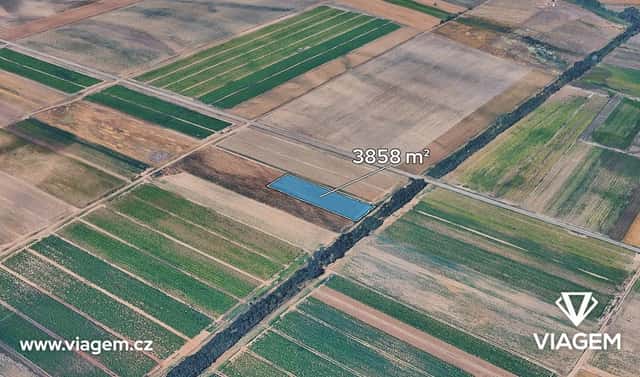 Prodej pole 3 858 m², Dřísy, okres Praha-východ