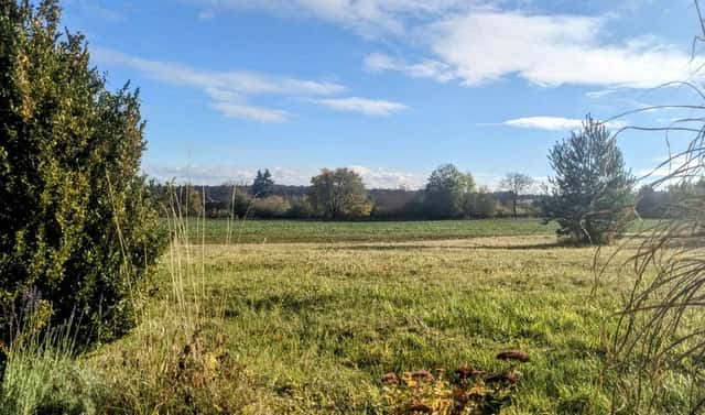 Prodej stavebního pozemku 1 454 m², Morašice – Holičky, okres Chrudim