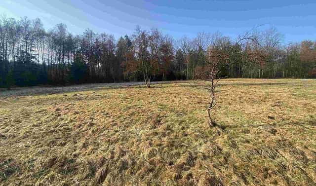Prodej pole 5 206 m², Karlovice, okres Semily