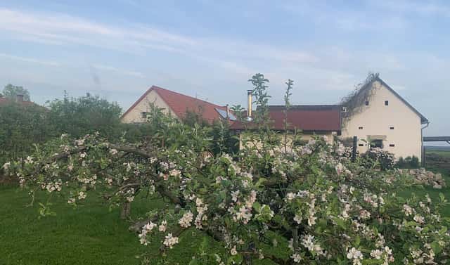 Prodej komerčního objektu (jiného typu) 28 792 m², Pluhův Žďár – Jižná, okres Jindřichův Hradec
