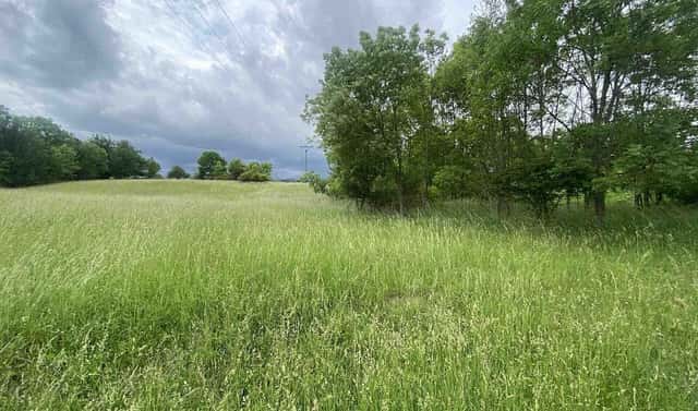 Prodej pole 12 772 m², Třebívlice – Skalice, okres Litoměřice