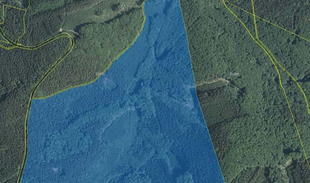 Prodej lesa 4 699 m², Vizovice, okres Zlín