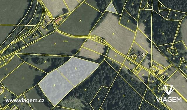 Prodej lesa 1 746 m², Cotkytle, okres Ústí nad Orlicí