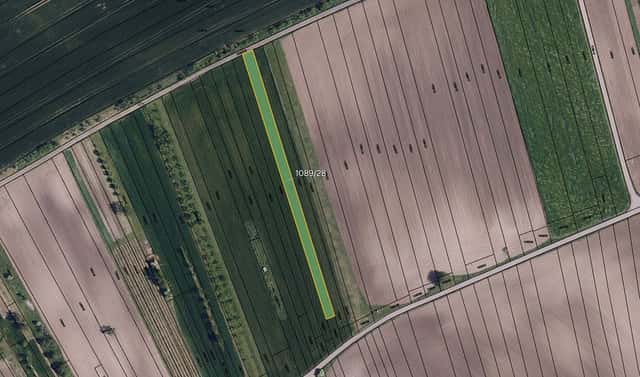 Prodej pole 9 152 m², Násedlovice, okres Hodonín