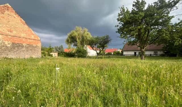 Prodej stavebního pozemku 6 686 m², Jesenice – Bedlno, okres Rakovník