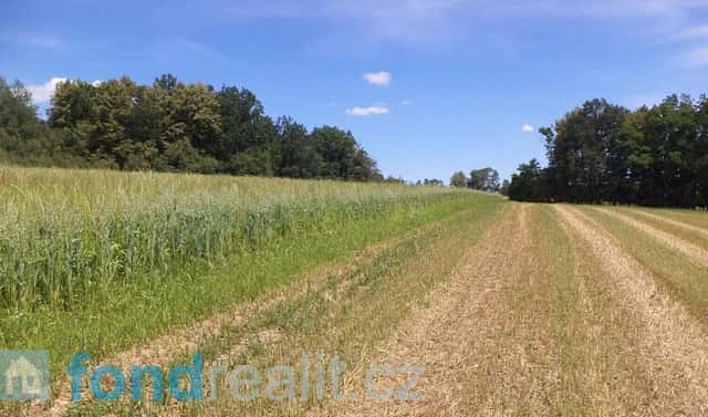 Prodej pole 18 412 m², Dříteň, okres České Budějovice