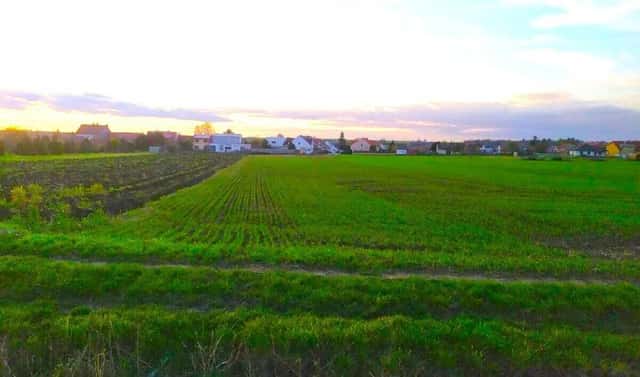 Prodej pole 1 458 m², Na Budínku, Kobylnice, okres Brno-venkov