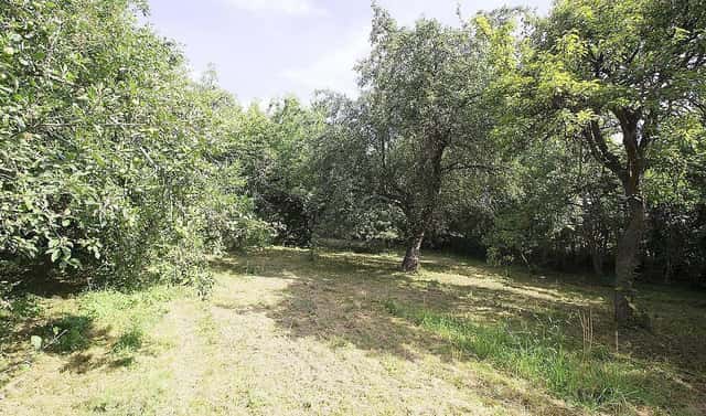 Prodej stavebního pozemku 2 233 m², Kaliště, okres Praha-východ