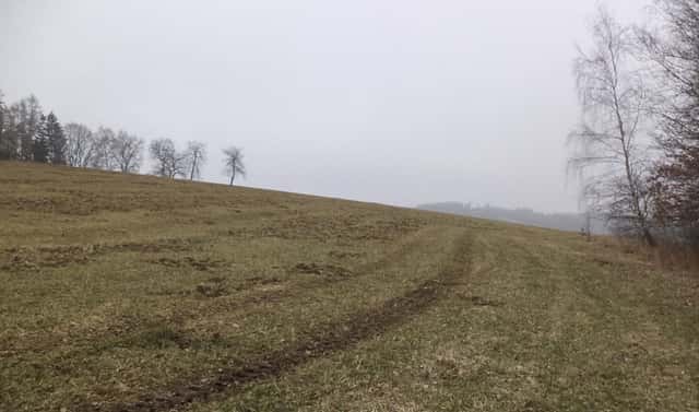 Prodej pole 9 983 m², Zvěstov – Bořkovice, okres Benešov