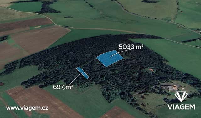 Prodej lesa 5 730 m², Chodská Lhota, okres Domažlice
