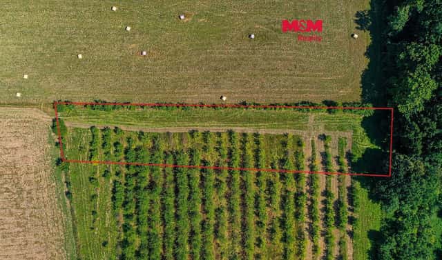 Prodej pole 2 771 m², Polom, okres Přerov