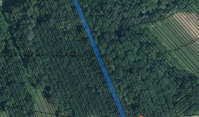 Prodej lesa 2 484 m², Veselí nad Moravou, okres Hodonín