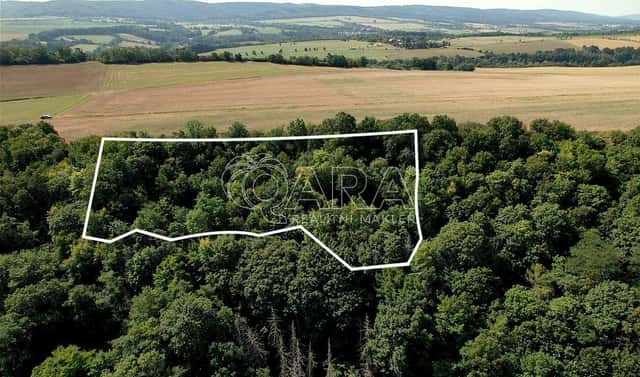 Prodej pole 9 074 m², Liteň – Běleč, okres Beroun