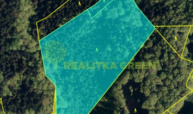 Prodej lesa 22 655 m², Pozděchov, okres Vsetín