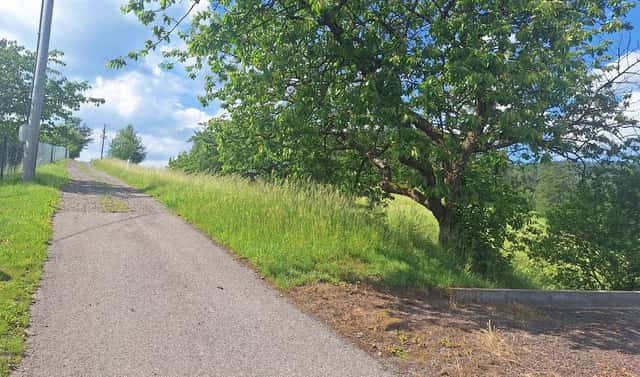 Prodej stavebního pozemku 2 318 m², Malé Svatoňovice, okres Trutnov