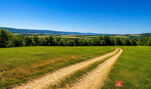 Prodej louky 3 075 m², Borotín, okres Blansko