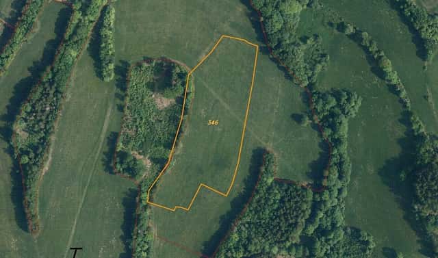 Prodej pole 18 839 m², Roztoky u Semil, okres Semily