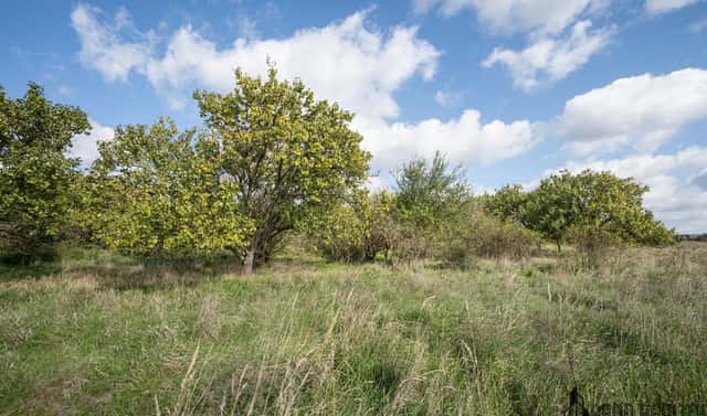 Prodej pozemku 14 896 m², Hustopeče, okres Břeclav