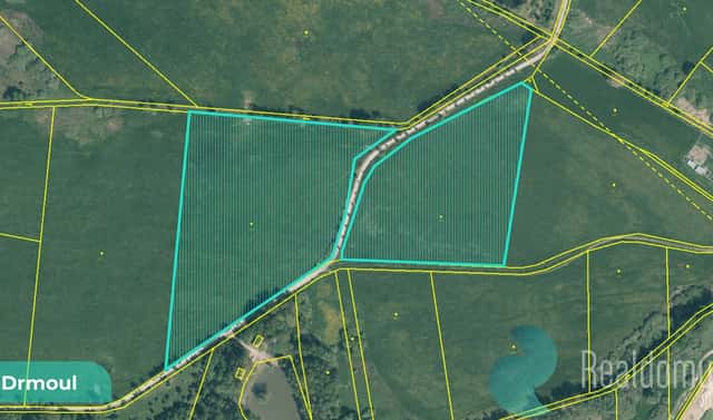 Prodej louky 12 559 m², Drmoul, okres Cheb