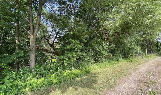 Prodej stavebního pozemku 974 m², Nové Hrady – Nakolice, okres České Budějovice