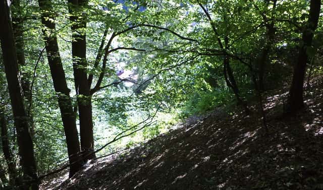 Prodej pozemku 675 m², Děčín