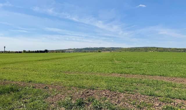 Prodej pole 5 596 m², Slatinice, okres Olomouc