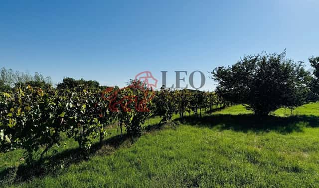 Prodej zahrady 1 237 m², Týnec, okres Břeclav
