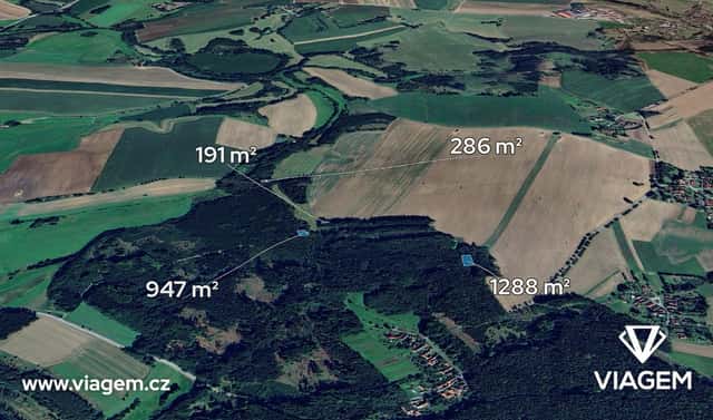 Prodej lesa 1 356 m², Vyklantice, okres Pelhřimov