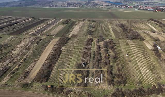 Prodej pole 4 065 m², Brumovice, okres Břeclav