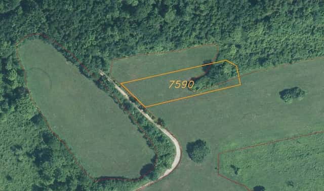 Prodej pole 1 556 m², Javorník, okres Hodonín