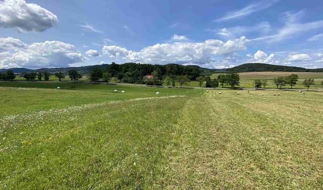 Prodej pole 55 481 m², Lhenice – Hrbov, okres Prachatice