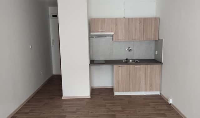 Pronájem bytu 1+kk 30 m², U Parku, Ostrava – Moravská Ostrava, okres Ostrava-město
